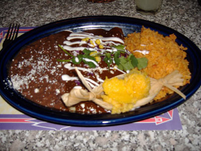 Blue Agave - Chicken Mole Enchiladas