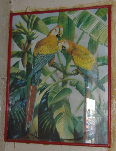 Cancun - Parrot Painting