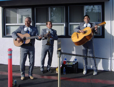 Crazy Taco Night - Mariachis