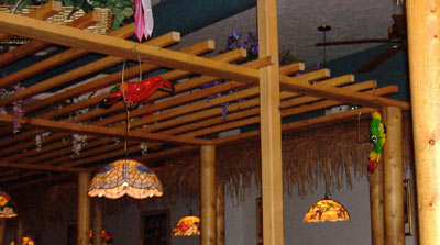Flamingo's Aviary Flamingo's Aviary