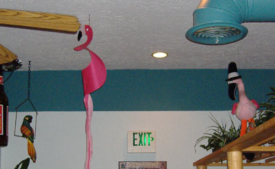 Gangsta Flamingo? Gangsta Flamingo?