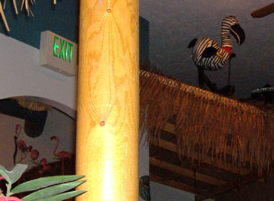 Flamingo's Zebra/Flamingo Flamingo's Zebra/Flamingo